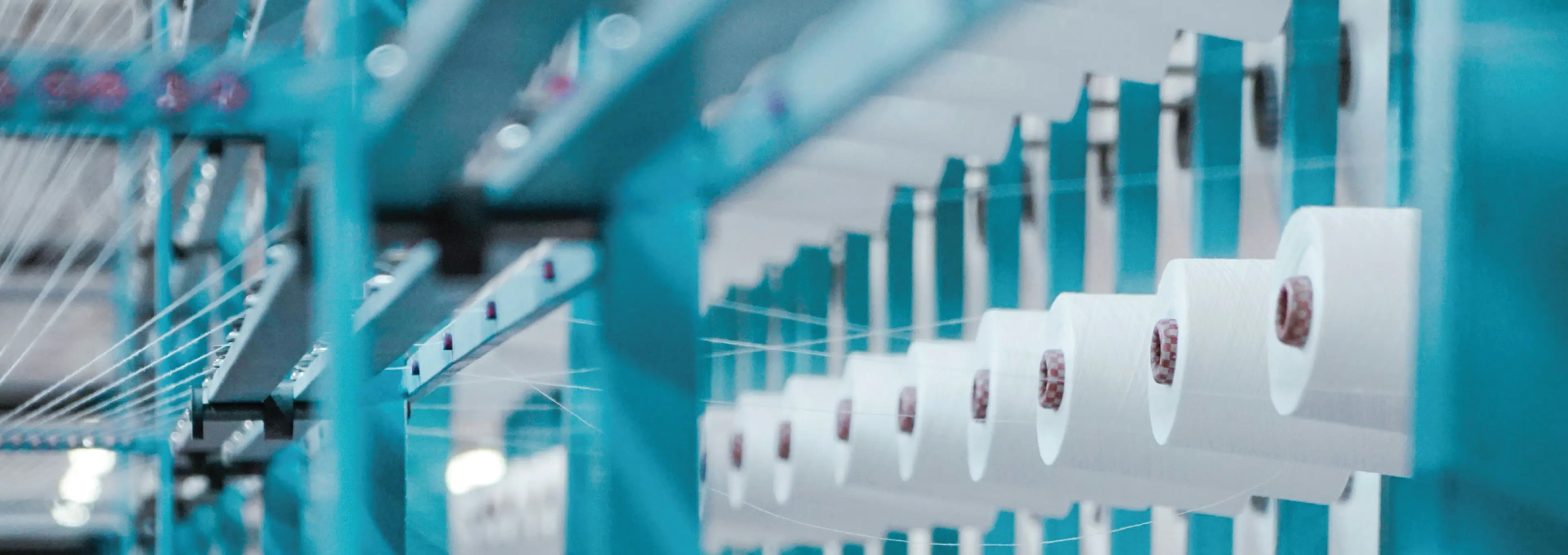 B2B website & SEO for a Taiwanese elastic components manufacturer